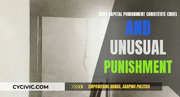 Capital Punishment: Cruel, Unusual, or Both?