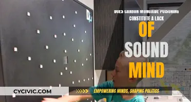 Carbon Monoxide Poisoning: Sound Mind or Legal Loophole?