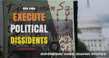 China's Political Dissidents: Execution Practices and Human Rights Concerns