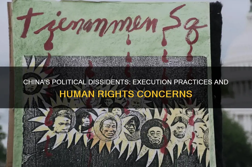 does china execute political dissidents