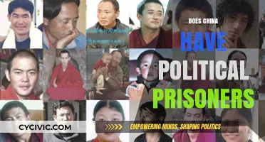 China's Political Prisoners: Reality, Rights, and Global Concerns