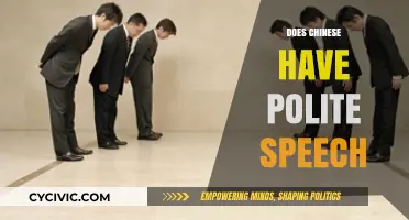 Exploring Chinese Polite Speech: Formality, Respect, and Cultural Nuances