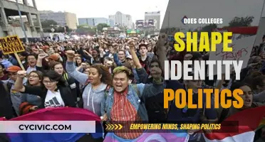Colleges and the Formation of Identity Politics: A Critical Analysis