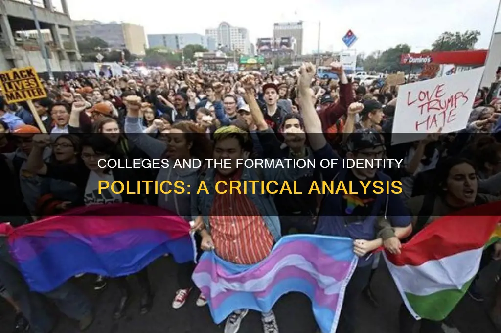 does colleges shape identity politics