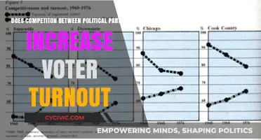 Political Rivalry's Impact: Does Party Competition Boost Voter Turnout?