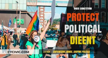 Does the Constitution Safeguard Political Dissent in Modern Democracy?