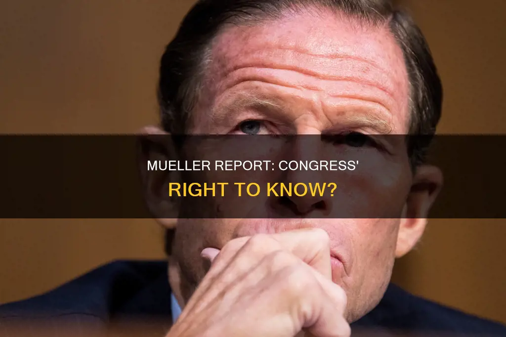 does constitution give congress the rigjt to see mueller report