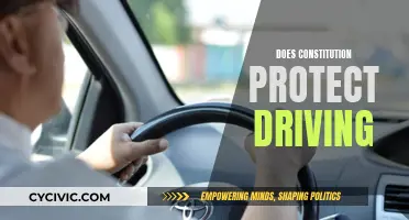 Driving Freedoms: Constitutional Protections on the Road