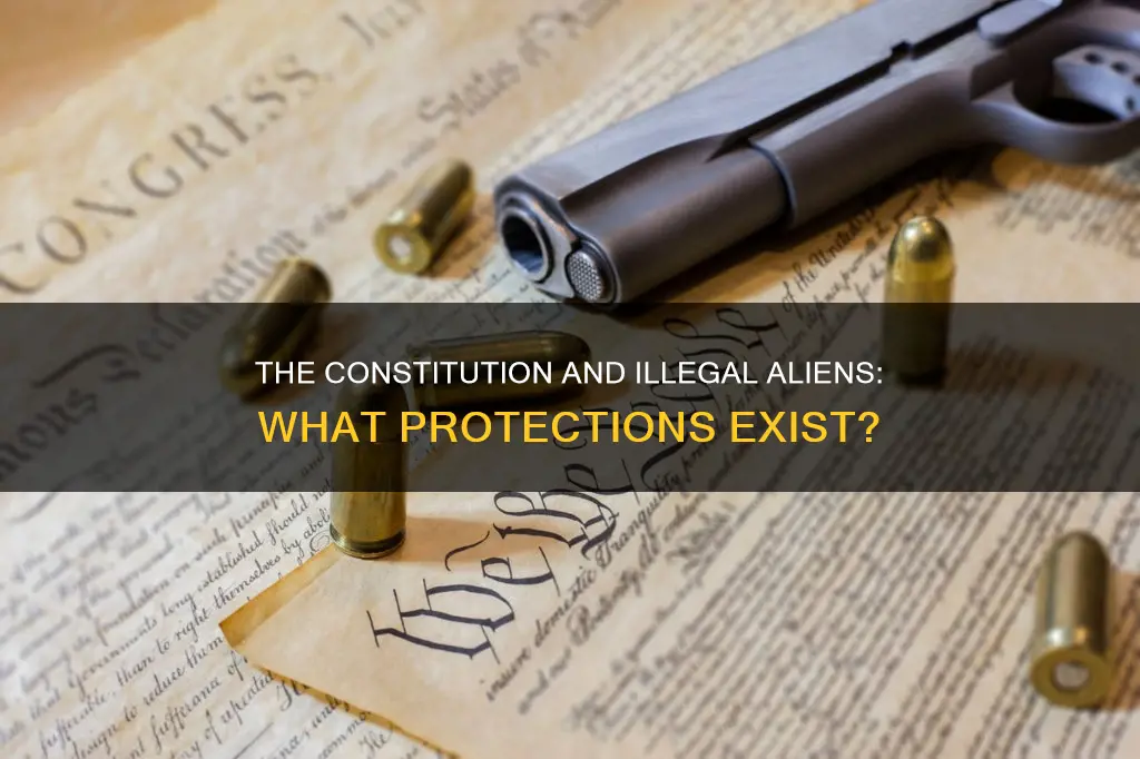 does constitution protect illegal aliens