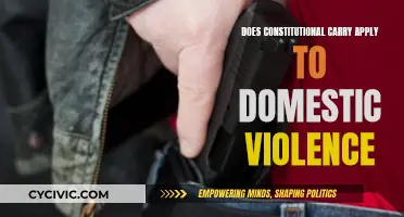 Constitutional Carry and Domestic Violence: Understanding the Legal Limits