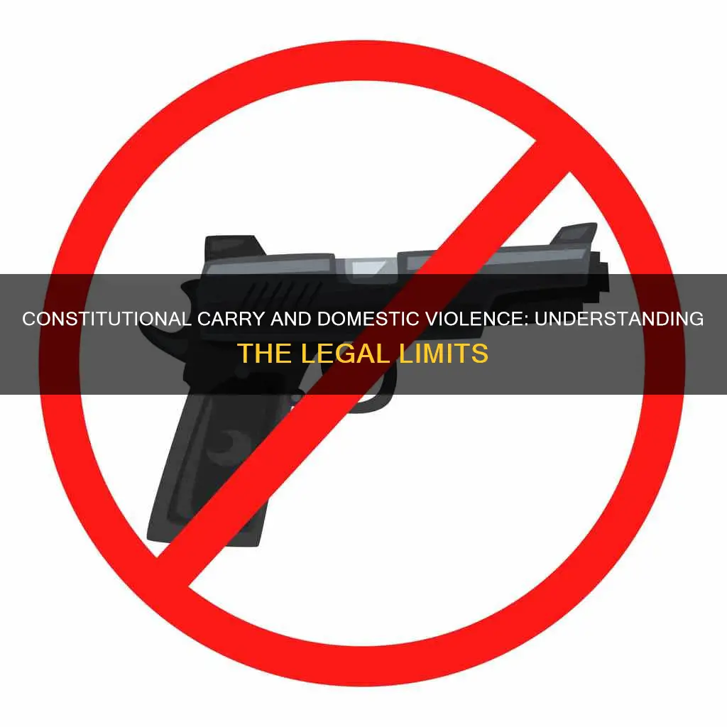 does constitutional carry apply to domestic violence