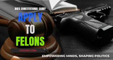 Constitutional Carry: Felons' Rights and Restrictions