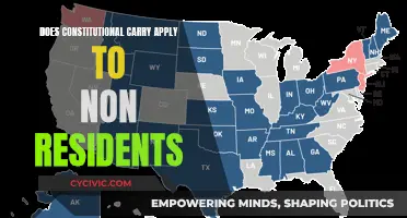 Constitutional Carry: Non-Resident Rights and State Laws