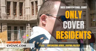 Constitutional Carry: Resident-Only Law or Universal Right?