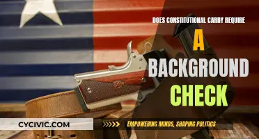 Constitutional Carry: Background Checks or Not?