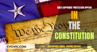 Copyright Protection: Is It in the Constitution?