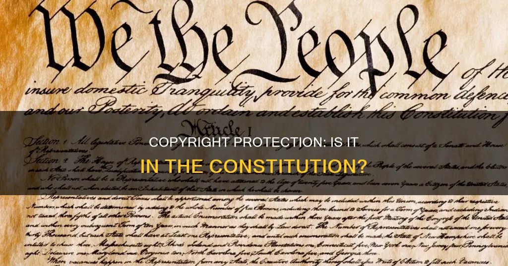 does copyright protection appear in the constitution
