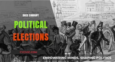 Corrupt Political Elections: Impact, Consequences, and Threats to Democracy