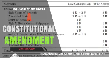 Court Packing: Amendment Needed?