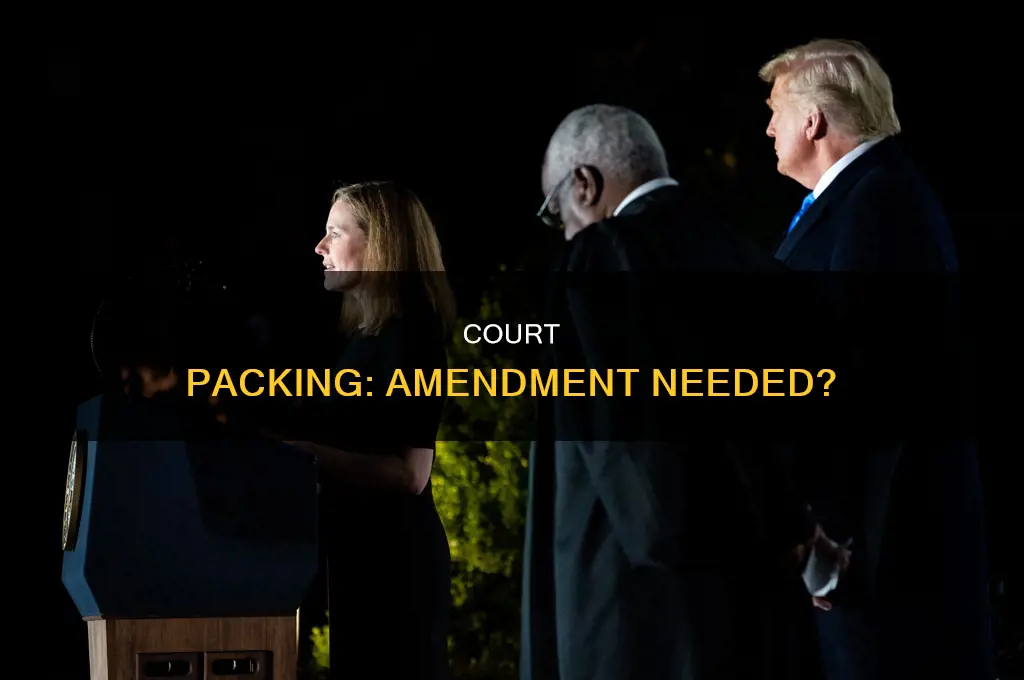 does court packing require a constitutional amendment