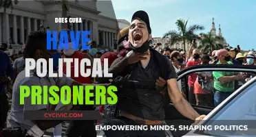 Cuba's Political Prisoners: Reality, Controversy, and Human Rights Concerns