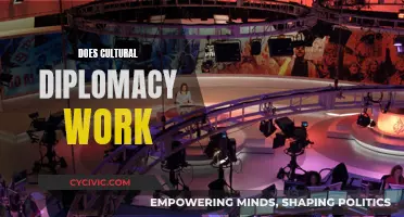 Cultural Diplomacy: Effective Soft Power or Futile Effort?