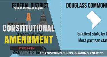 DC Statehood: Constitutional Amendment Needed?