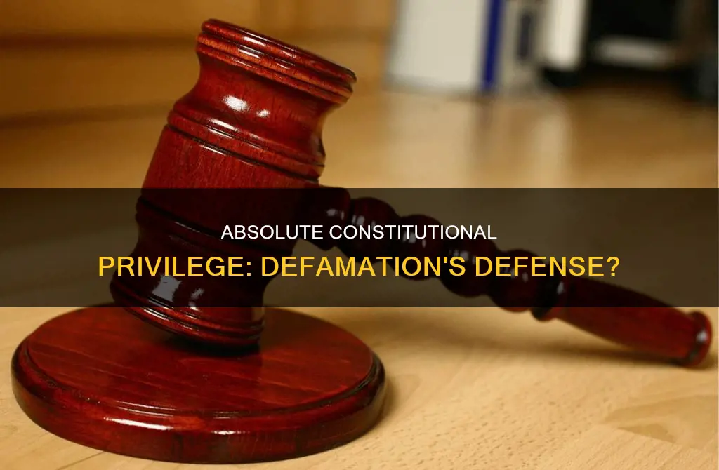 does defensive absolute conditional constitutional privilege apply to defamation