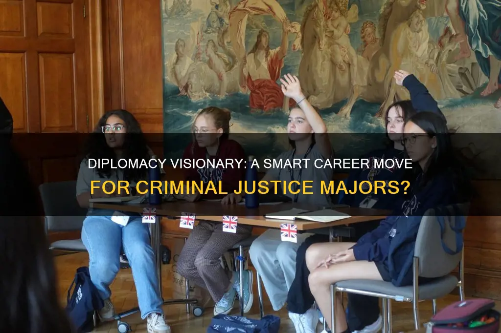 does diplomacy visionary work well with ms criminal justice