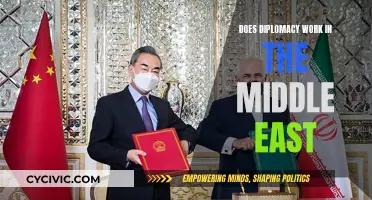 Diplomacy in the Middle East: Effective or Futile?