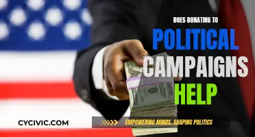 Political Donations: Effective or Futile?