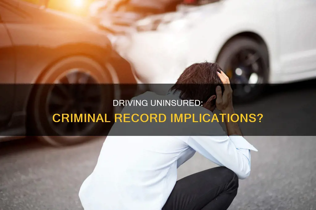 does driving without insurance constitute a criminal record