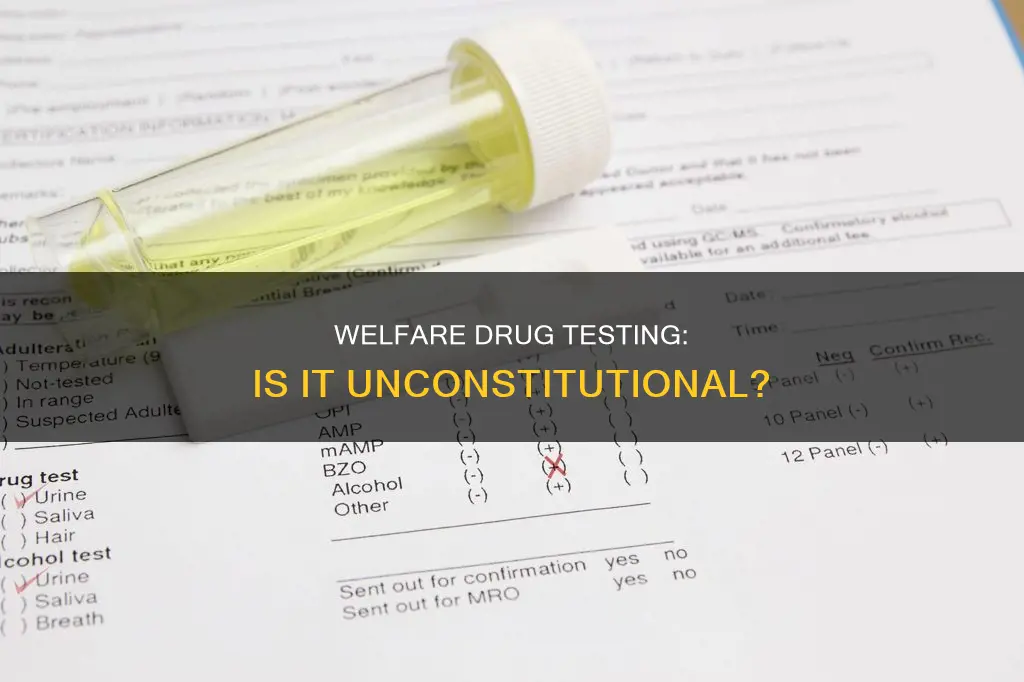 does drug testing welfare recipients violate the constitution