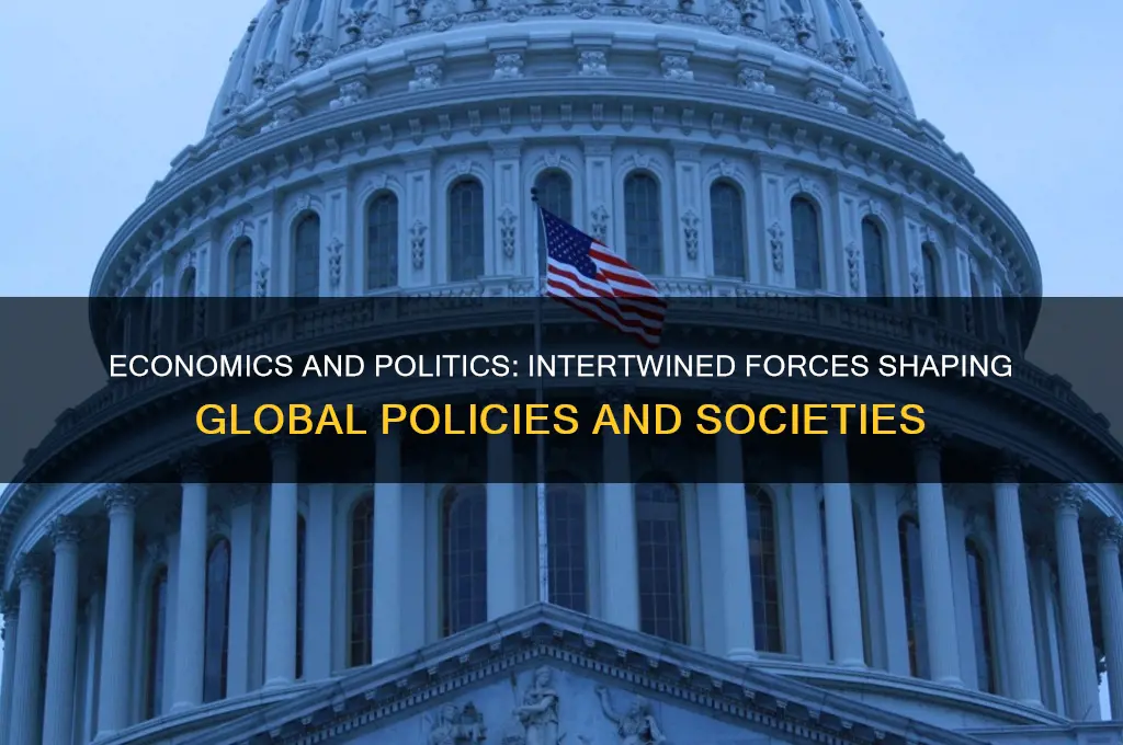 does economics include politics