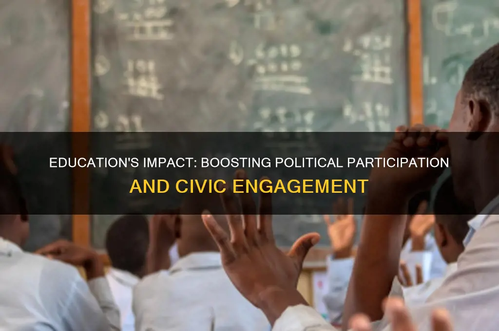 does education increase political participation