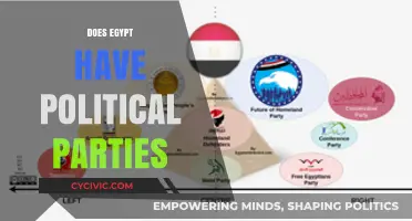 Exploring Egypt's Political Landscape: Do Political Parties Exist and Function?