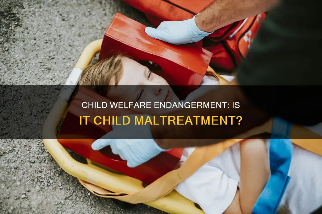 does endangering the welfare of a child constitute maltreatment
