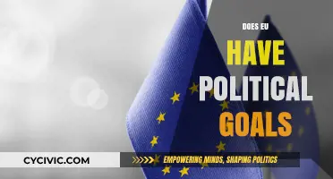 EU's Political Ambitions: Unveiling Goals, Strategies, and Global Impact