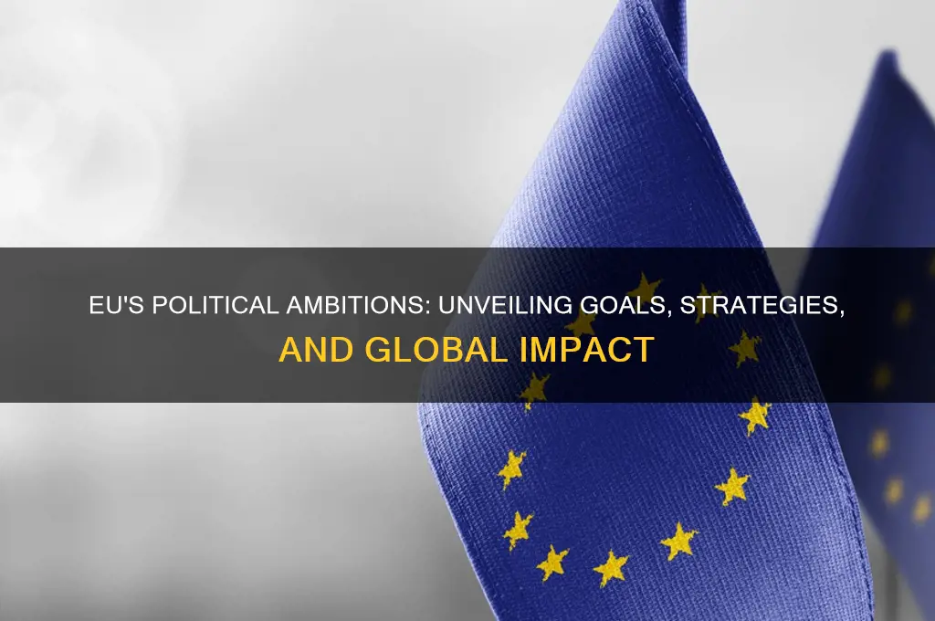 does eu have political goals