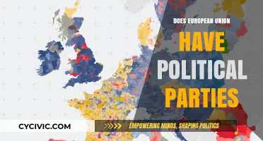 Do European Union Political Parties Shape EU Policies and Governance?