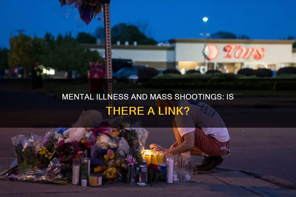 does every individual that commits mass shootings constitute mental illness