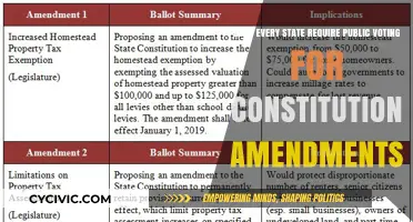 Voting Laws: Constitutional Amendments and State Requirements