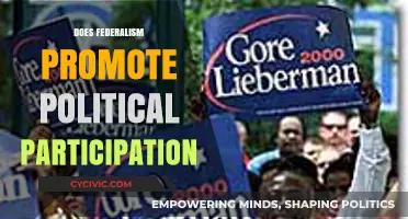 Federalism's Impact: Boosting Political Participation or Hindering Engagement?