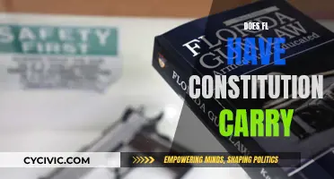 Florida's Constitutional Carry: What You Need to Know