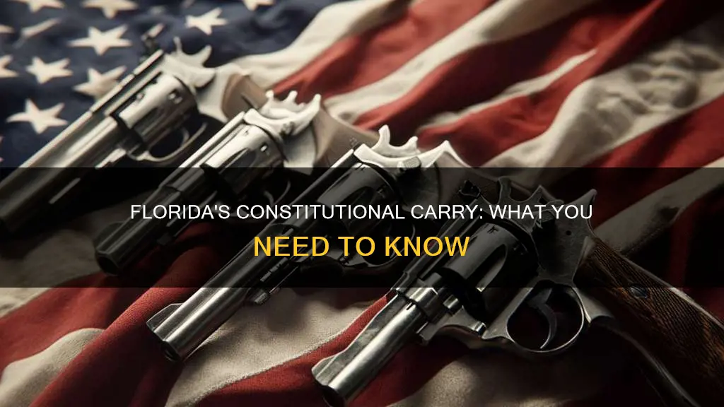 does fl have constitutional carry