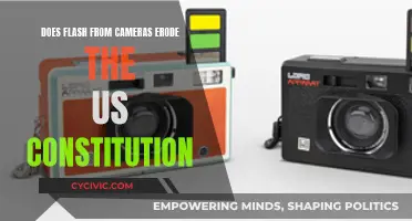 Flash Photography: Constitution's Slow Fade?