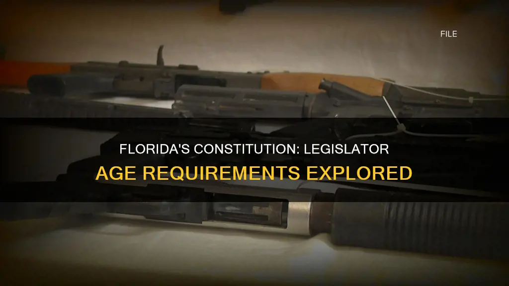 does florida constitution give a minimum age for legislators