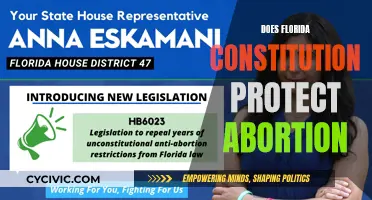 Florida Constitution: Abortion Rights and Protections Explored