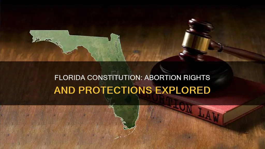 does florida constitution protect abortion