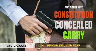 Florida's Constitutional Concealed Carry: What You Need to Know